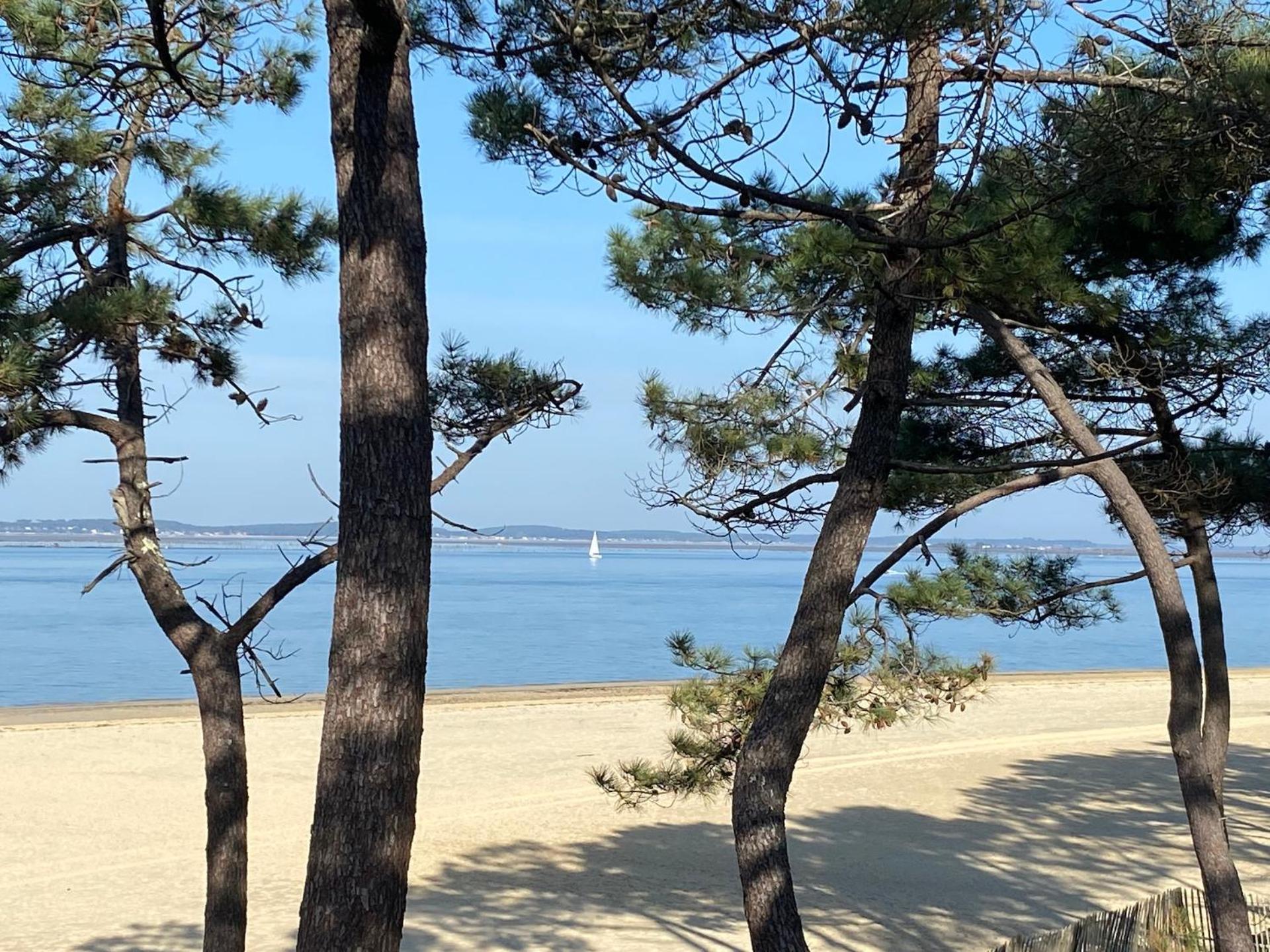 Charme & Confort- Les Cottages Du Bassin D'Arcachon- Petit-Dejeuner Sur Demande - Nuitee, Court Sejour, Semaine Gujan-Mestras Luaran gambar