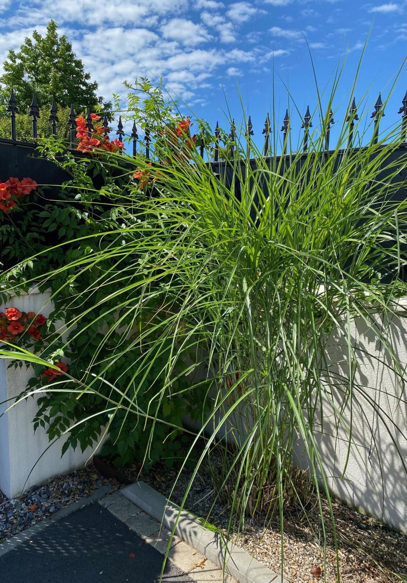 Charme & Confort- Les Cottages Du Bassin D'Arcachon- Petit-Dejeuner Sur Demande - Nuitee, Court Sejour, Semaine Gujan-Mestras Luaran gambar